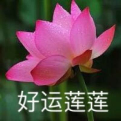 怀胎7月大学生被当肾病医治后身亡，河南邓州市人民医院拒绝提供鉴定材料